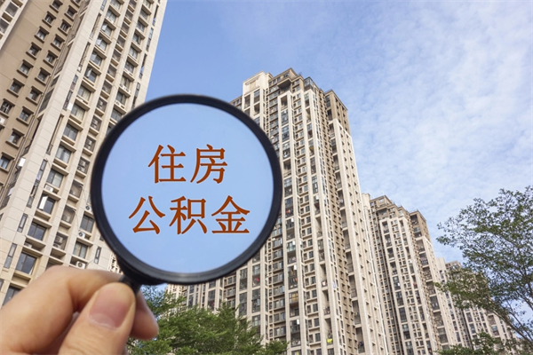 牡丹江离职后公司不给转公积金怎么办（离职后公司不给转社保怎么办）